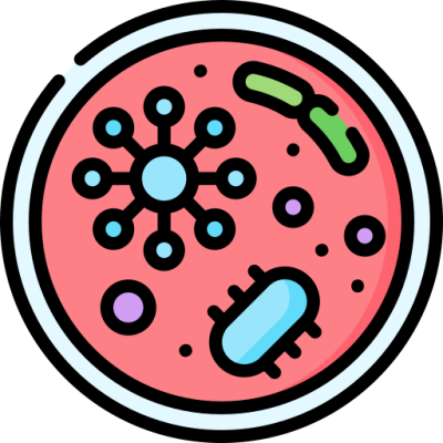 Hemocultivos